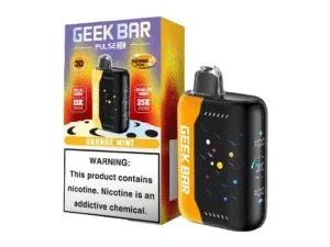 Geek Bar vape device with packaging box.